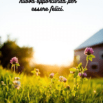 Prato-verde-con-fiori-viola-e-bianchi-al-tramonto-con-un-casa-sullo-sfondo