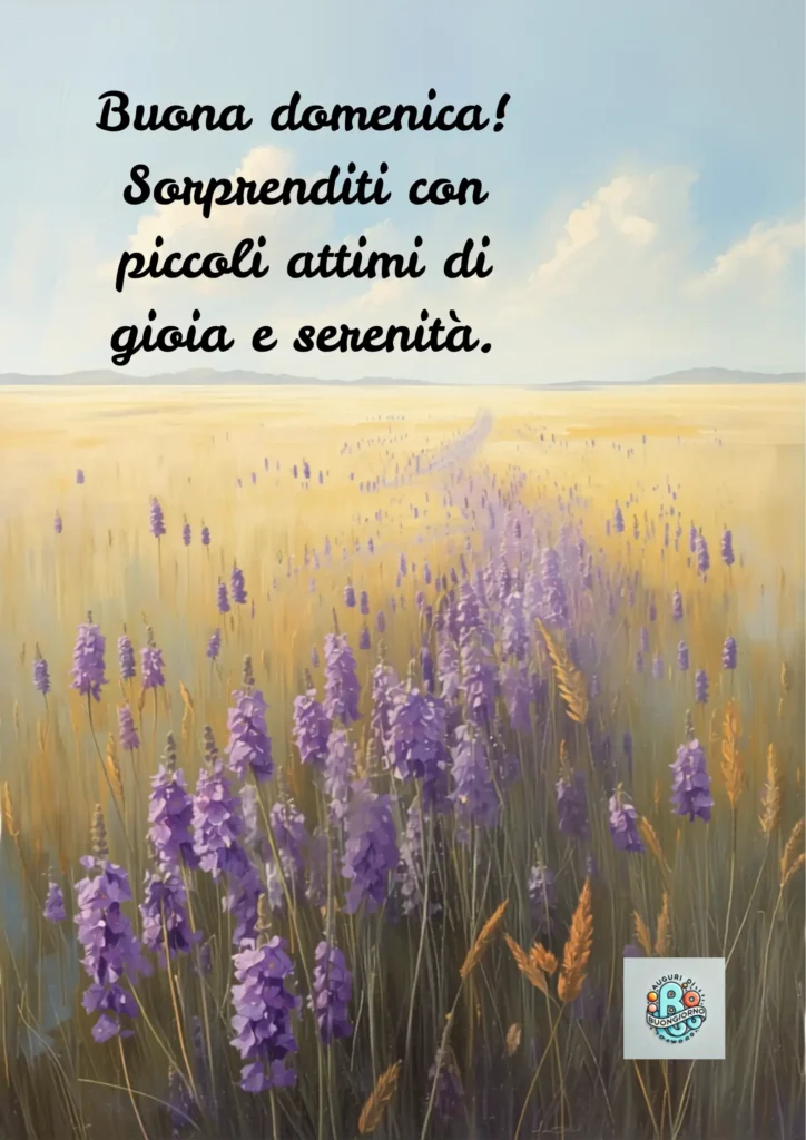 Prato viola e giallo con cielo azzurro e il testo “Buona domenica! Sorprenditi con piccoli attimi di gioia e serenità.