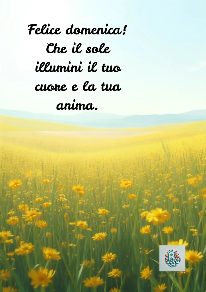 Campo giallo di fiori con cielo azzurro e il testo “Felice domenica! Che il sole illumini il tuo cuore e la tua anima