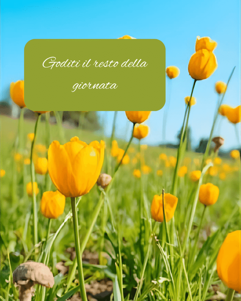 campo-di-tulipani-gialli-sotto-il-cielo-blu-con-messaggio-positivo-goditi-il-resto-della-giornata-che-trasmette-pace-e-armonia-con-la-natura