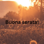 tramonto-dorato-sera-campi-fioriti-sole-che-tramonta-natura-serena