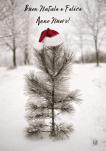 Albero-di-Natale-innevato-con-un-cappello-rosso,-augurando-Buon-Natale-e-Felice-Anno-Nuovo-in-un'atmosfera-natalizia-serena.