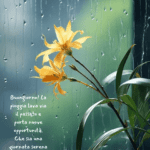 fiore-giallo-sotto-la-pioggia-su-vetro