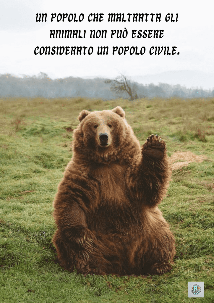 Un orso che saluta in un ambiente pacifico, a simboleggiare la gentilezza verso gli animali, con un messaggio su come maltrattare gli animali sia un riflesso della civiltà della società.
