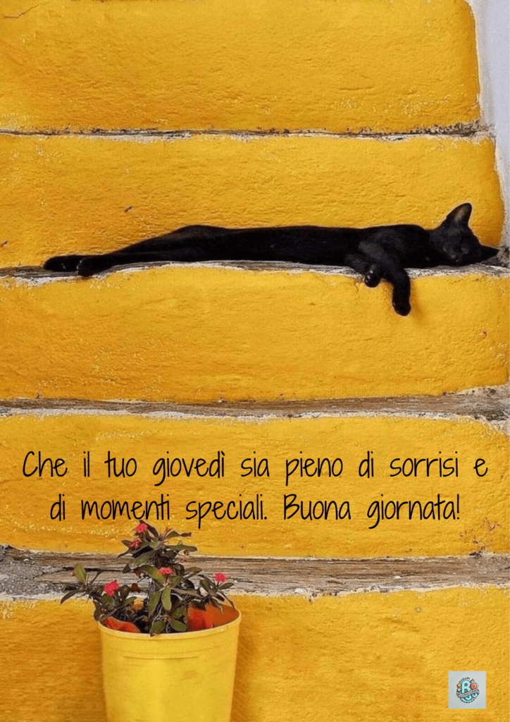 relax-sorrisi-gatto-scalini-gialli-momenti-speciali-giovedi