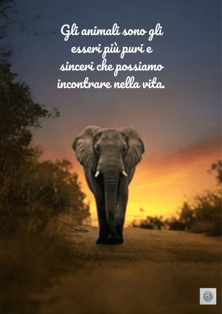 Un elefante che cammina nella savana al tramonto, a simboleggiare la natura pura e sincera degli animali,