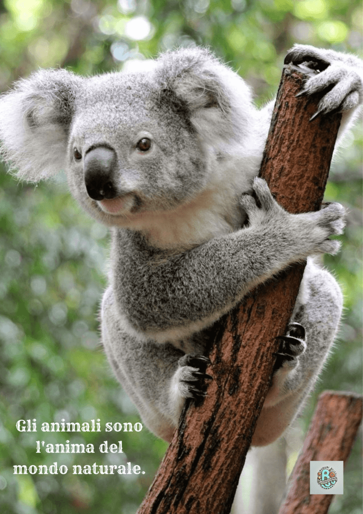 Un koala aggrappato a un albero, a simboleggiare il profondo legame tra gli animali e il mondo naturale, celebrato nella Giornata Mondiale degli Animali.