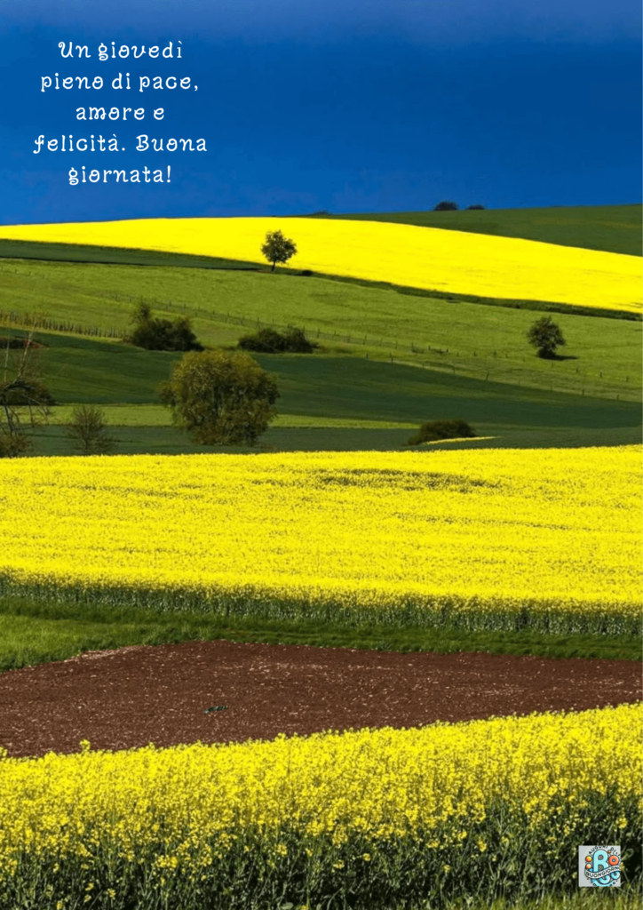 pace-felicita-campo-fiorito-giallo-verde-serenita-giovedi