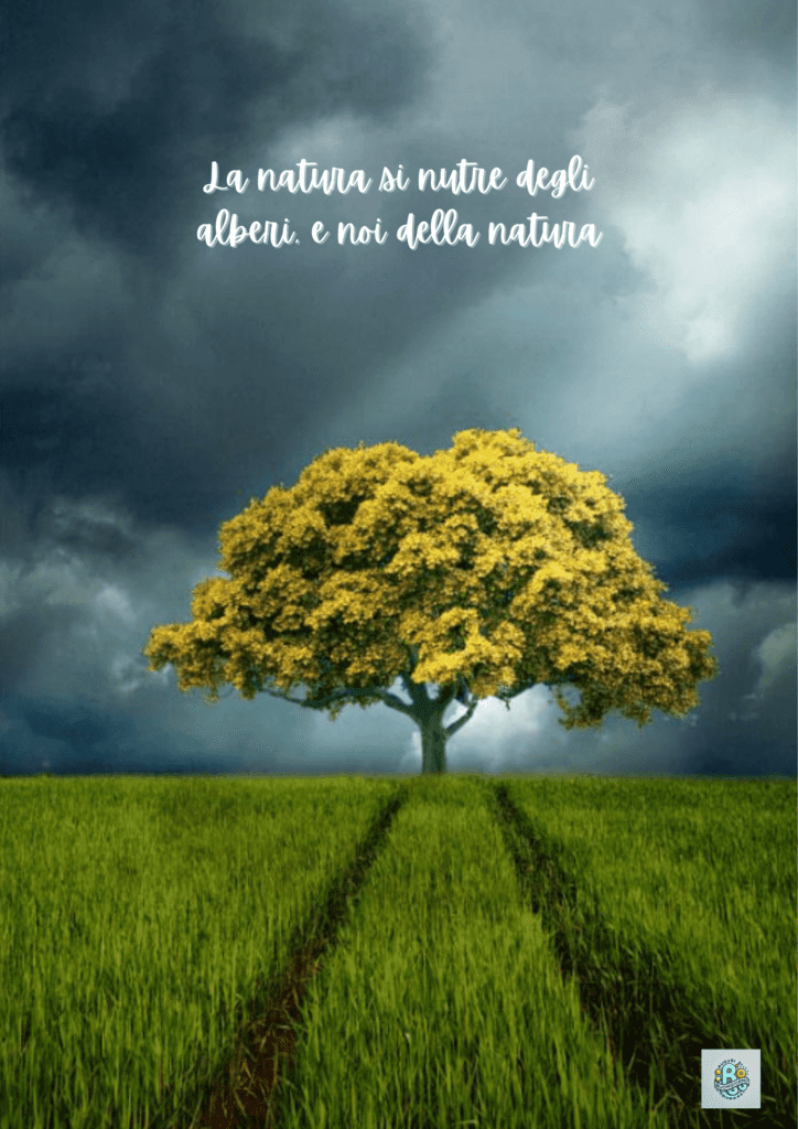 Piantumazione alberi, salute dell'ambiente, miglioramento della natura, sostenibilità ecologica, protezione del pianeta.