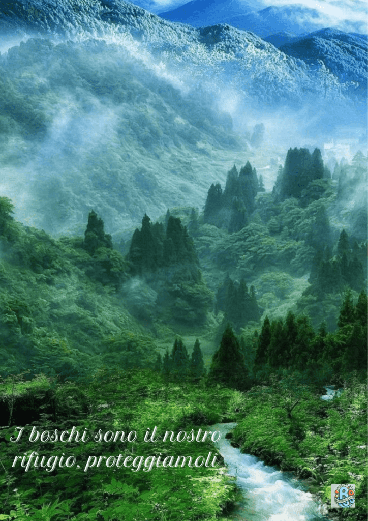 Rifugio naturale, protezione dei boschi, tutela ambientale, preservazione della natura, sostenibilità ecologica.