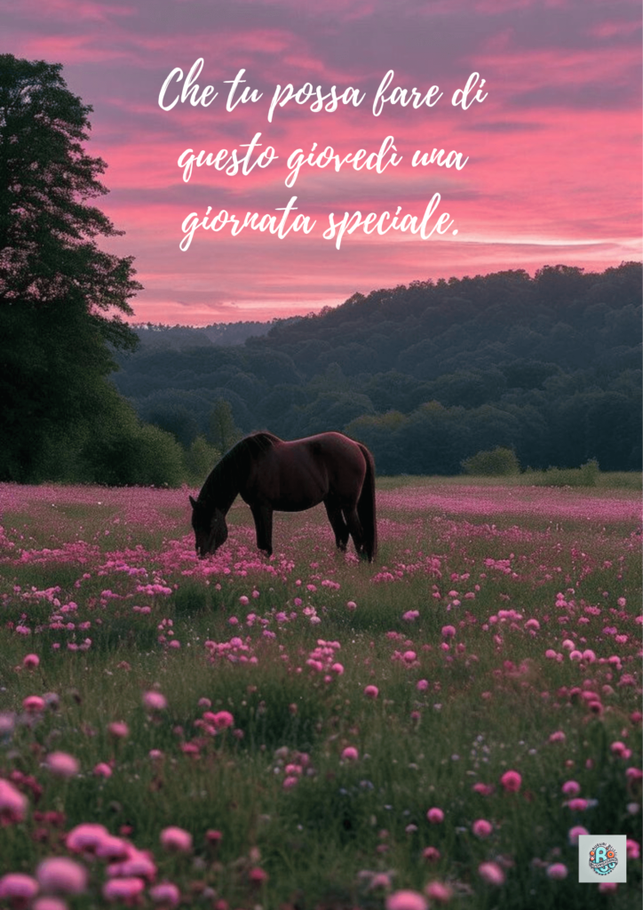 giovedì-cavallo-fiori-campo-tramonto-paesaggio