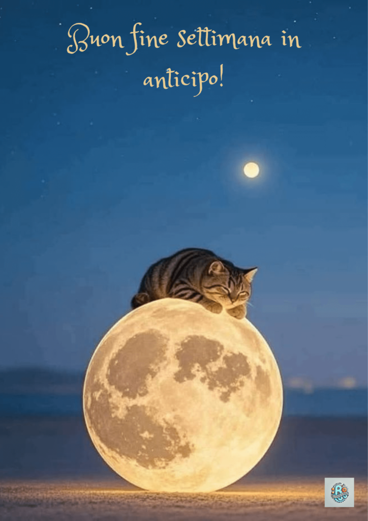 gatto-che-dorme-sulla-luna-piena-in-una-notte-stellata-per-augurare-buon-weekend