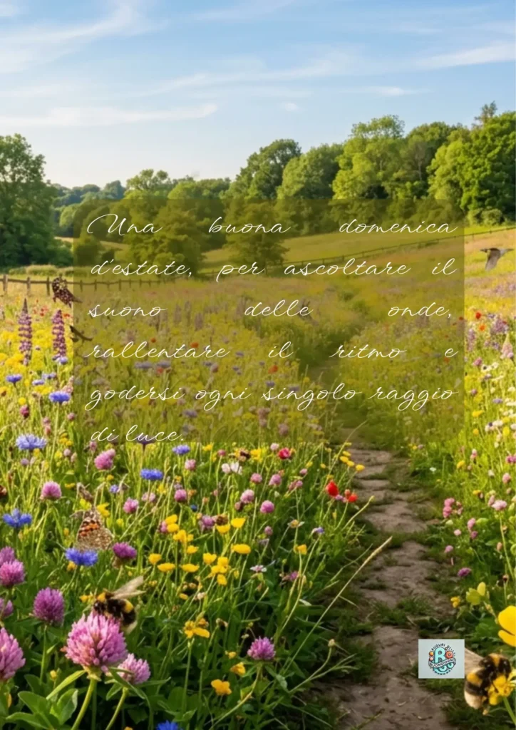 Buona-Domenica-prato-di-fiori-di-campo-sentiero-nel-verde-e-luce-del-sole