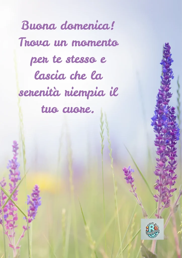 Prato di fiori viola con sfondo luminoso sfocato e il messaggio “Buona domenica! Trova un momento per te stesso e lascia che la serenità riempia il tuo cuore.