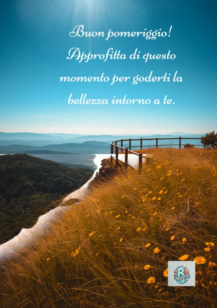 Belvedere panoramico tra colline dorate e fiori selvatici - Buon Pomeriggio